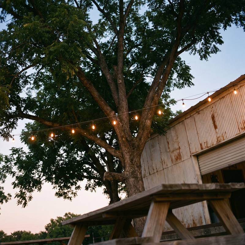 String lights coming on in the pecan branches at dusk beside the tin roofline.